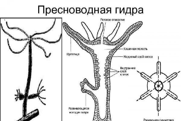 Официальная ссылка на кракен в тор